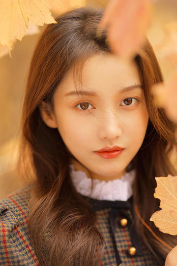 我亲爱的甜橙树